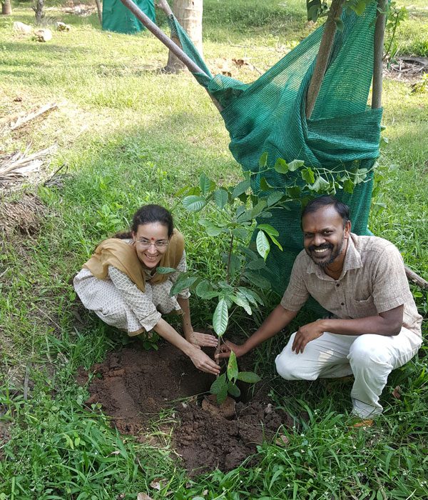 Planting a sapling at the Nilam farm