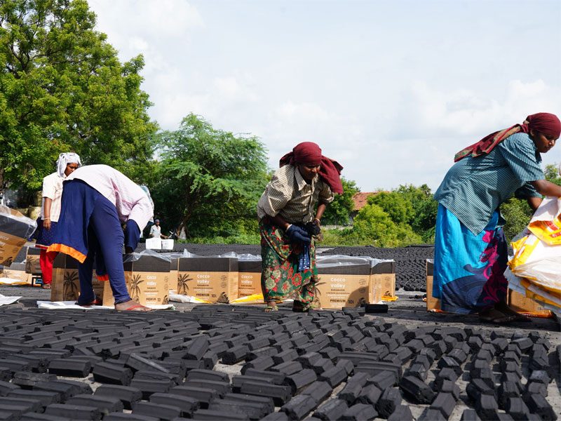 Women drying coconut shell charcoal